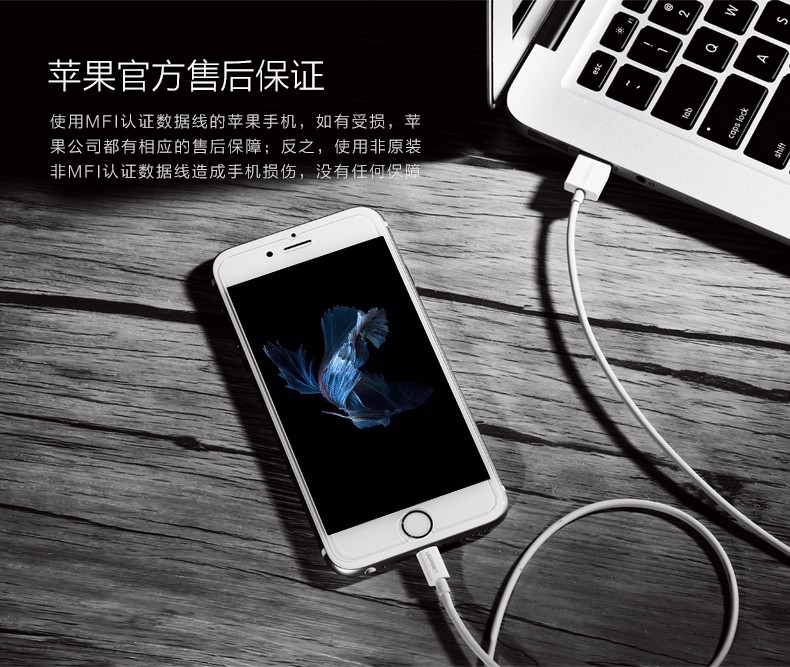 意昂2MFi认证苹果数据线