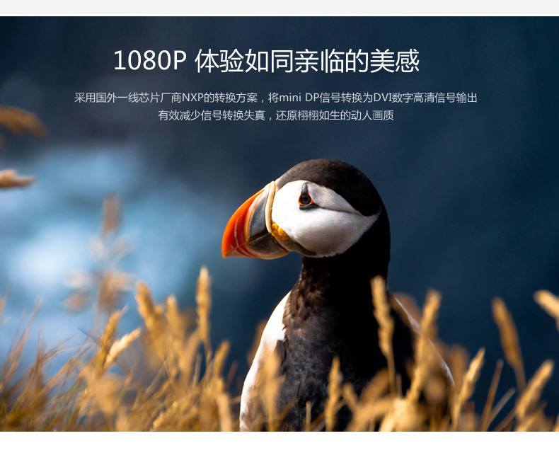 意昂2-全球领先的消费电子科技品牌