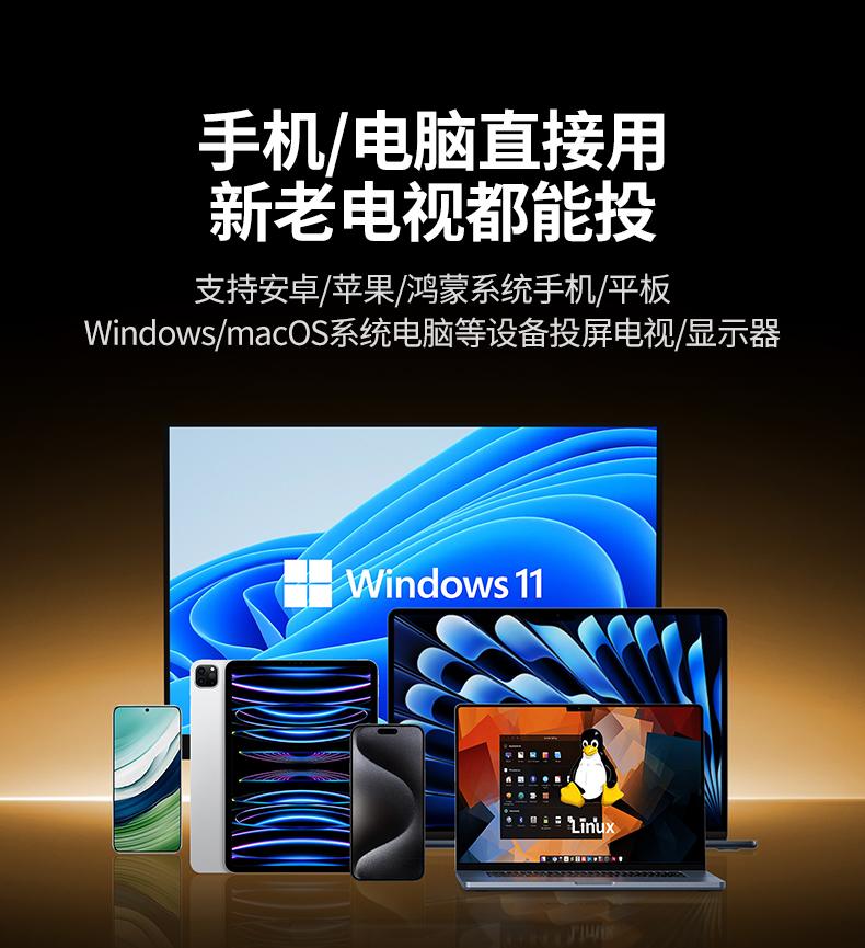 意昂2P301-55500 电脑即连即投