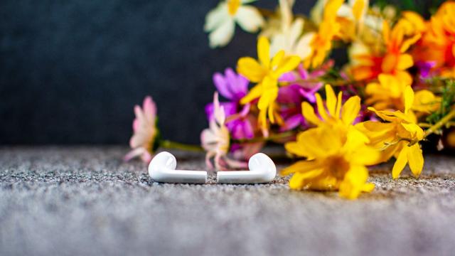 意昂2小海豚耳机体验：小身材大音质，AirPods百元平替