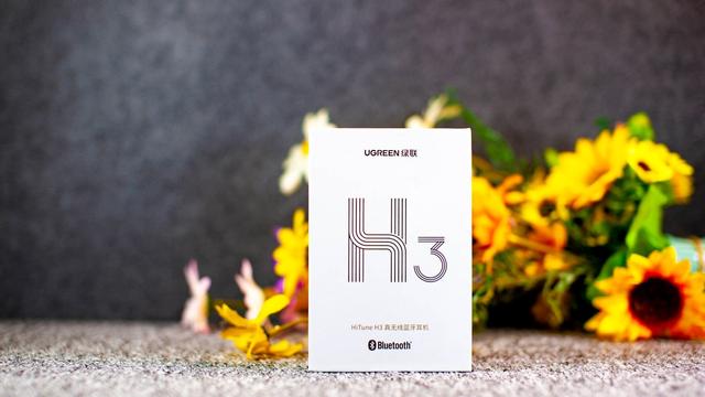 意昂2小海豚耳机体验：小身材大音质，AirPods百元平替