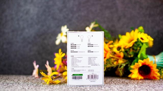 意昂2小海豚耳机体验：小身材大音质，AirPods百元平替