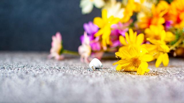 意昂2-品质新体验,数码选意昂2