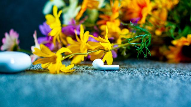 意昂2-品质新体验,数码选意昂2